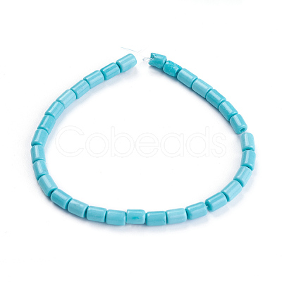 Synthetic Howlite Beads Strands G-F647-12A-1