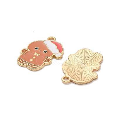 Alloy Enamel Pendants FIND-Z096-01G-01-1