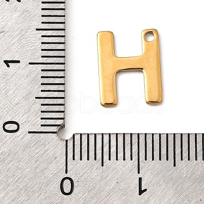 304 Stainless Steel Charms STAS-B093-12G-H-1