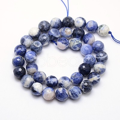 Natural Sodalite Beads Strands G-L149-10mm-01-1