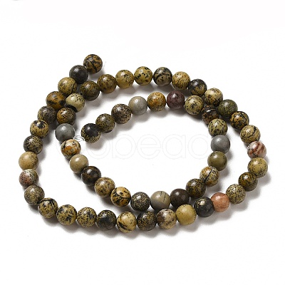 Natural Dendritic Jasper Beads Strands G-D481-16-1