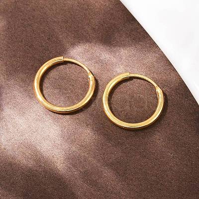 925 Sterling Silver Hoop Earrings STER-B008-01B-G-1