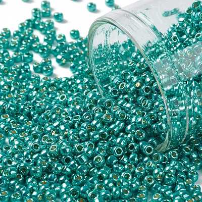 TOHO Round Seed Beads X-SEED-TR11-PF0569-1