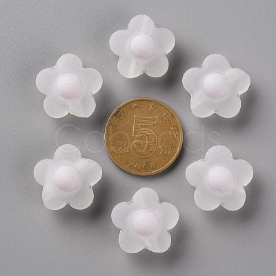 Transparent Acrylic Beads TACR-S152-09C-06-1