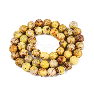 Natural Imperial Jasper Beads Strands G-N342-63J-1