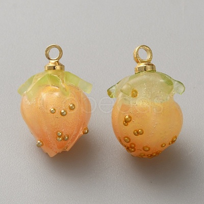Plastic Pendants FIND-WH0433-14F-1