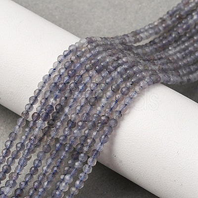 Natural Iolite Beads Strands G-D320-A01-2mm-1