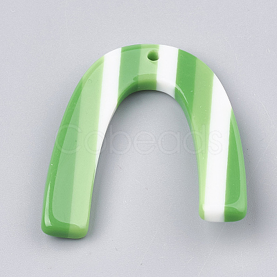 Resin Pendants CRES-T008-38F-1
