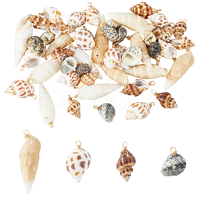 48Pcs 4 Styles Natural Mixed Shell Pendants PALLOY-HS00026-1