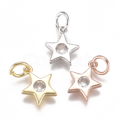 Brass Micro Pave Cubic Zirconia Charms ZIRC-F111-09-08-1