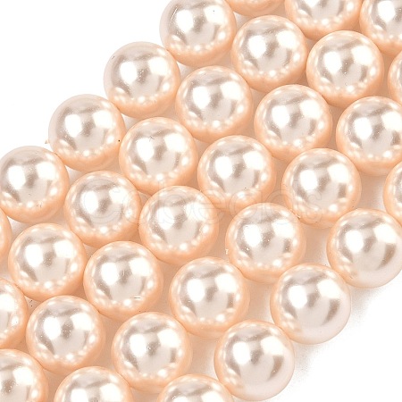 Electroplated Shell Pearl Beads Strands BSHE-G041-10mm-04-1