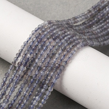 Natural Iolite Beads Strands G-D320-A01-2mm-1