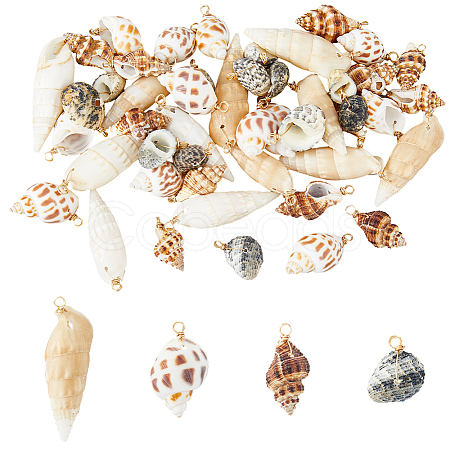 48Pcs 4 Styles Natural Mixed Shell Pendants PALLOY-HS00026-1