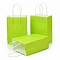 Kraft Paper Bags, Gift Bags, Shopping Bags, with Handles, Green Yellow, 15x8x21cm