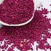 Baking Paint Glass Seed Beads X-SEED-S042-05B-70-1