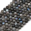Natural Labradorite Beads Strands G-Z133-A01-10mm-02-2