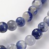 Natural Sodalite Beads Strands X-GSR4mmC013-2