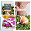 2 Rolls 2 Styles Cotton Printed Ruler Ribbon OCOR-PH0005-13-6