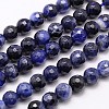 Natural Sodalite Beads Strands G-G542-6mm-28-1