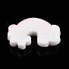 Rainbow Resin Cabochons LS-CRES-R183-28-3