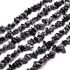 Snowflake Obsidian Chip Bead Strands G-M205-23-1