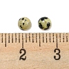 Natural Dalmatian Jasper Cabochons G-H309-03-50-3