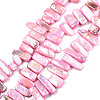 Natural Freshwater Shell Beads Strands SHEL-N026-123B-1