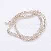 Glass Beads Strands X-EGLA-S056-09-2