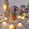 1 Set Glass Cloche Bell Jar Terrarium with 1Pc Handmade Knitting Crochet Artificial Myosotis Sylvatica Potted DJEW-WR0001-01A-3