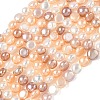 Natural Cultured Freshwater Pearl Beads Strands PEAR-C004-21A-2