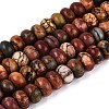 Natural Picasso Jasper/Polychrome Jasper Beads Strands G-N367-02A-12-2