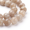 Natural Sunstone Beads Strands X-G-G099-10mm-14-3