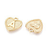 Alloy Pendants PALLOY-N157-001A-NR-2