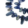 Natural Kyanite/Cyanite/Disthene Beads Strands G-Z091-A22-3