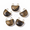 Natural Tiger Eye Semi Circle Pendants G-S359-011C-1