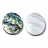 Natural Abalone Shell/Paua Shell Cabochons SSHEL-N034-87-3