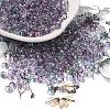 Transparent Colours Glass Round Beads SEED-F006-05A-12-1
