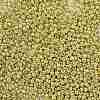 12/0 Glass Seed Beads SEED-A017-2mm-1113-2