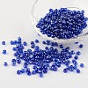 Round 6/0 Glass Seed Beads X-SEED-A006-4mm-108-1