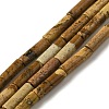 Natural Picture Jasper Beads Strands G-D464-20-1