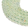 Natural Prehnite Beads Strands GG-CBA6F9F-6mm-3