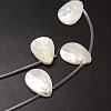 Natural Trochid Shell/Trochus Shell Beads Strands X-SSHEL-K009-12-3