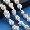 Natural Baroque Pearl Keshi Pearl Beads Strands PEAR-S019-05B-5