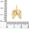 304 Stainless Steel Pendants LS-STAS-U049-04A-03G-3