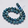 Natural Apatite Round Bead Strands G-M304-14-10mm-2