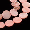 Natural Shell Beads Strands X-PBB251Y-6-3