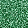 MIYUKI Delica Beads SEED-X0054-DB2188-3
