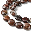 Natural Brecciated Jasper Beads Strands G-K365-B20-03-4