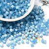 Glass Seed Beads SEED-H002-D-A811-1