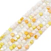 Gradient Color Electroplate Glass Bead Strands GLAA-E042-03B-1